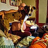 blanket, brown_dog, couch, dog, door, framed_photos, glasses, home, indoor, living_room, man, pet, quilt, remote_control, seated, shirtless, smartphone, table, wall, white_dog