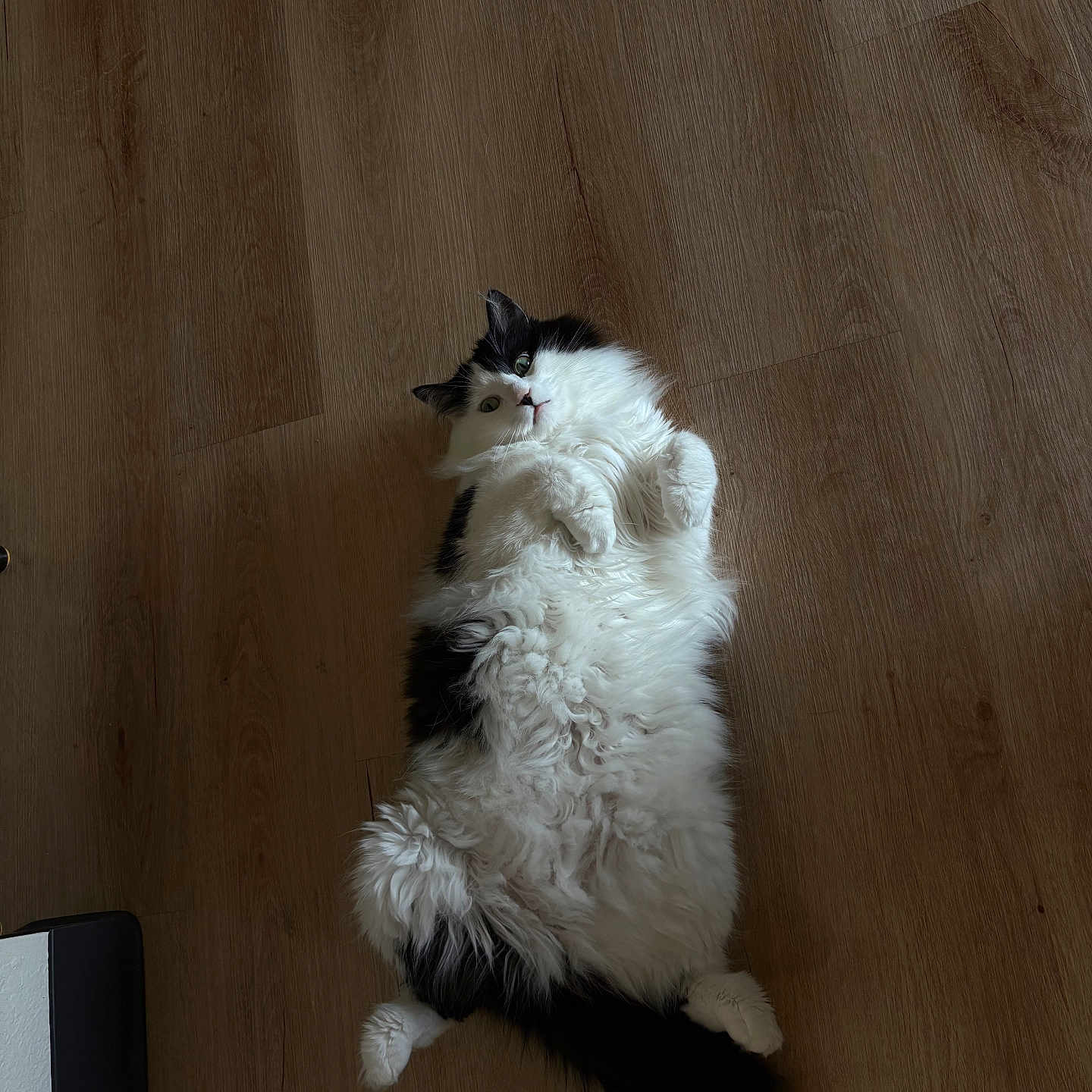 Nali