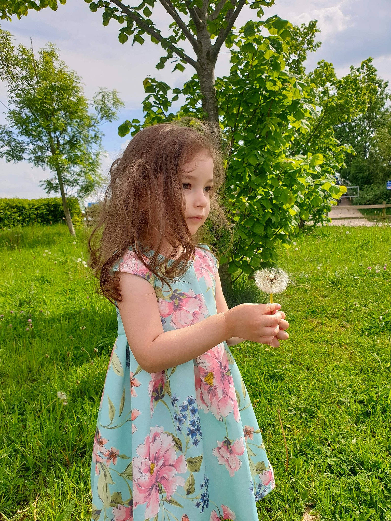 Oprea Sofia Maria is registered to the contest to win money with this photo: child, dandelion, dress, finger, flower, grass, grass_family, green, happy, meadow, people_in_nature, person, photography, plant, smile, spring, summer, sunlight, toddler, tree