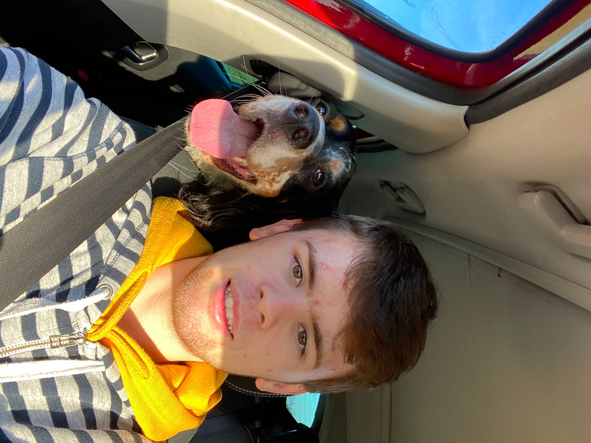 Pato participe au concours pour gagner de l'argent avec cette photo : automotive_lighting, automotive_tail_brake_light, car_seat, car_seat_cover, carnivore, companion_dog, cool, dog, dog_breed, humour, jaw, plaid, selfie, throat, tongue, tooth, trunk, vehicle_door