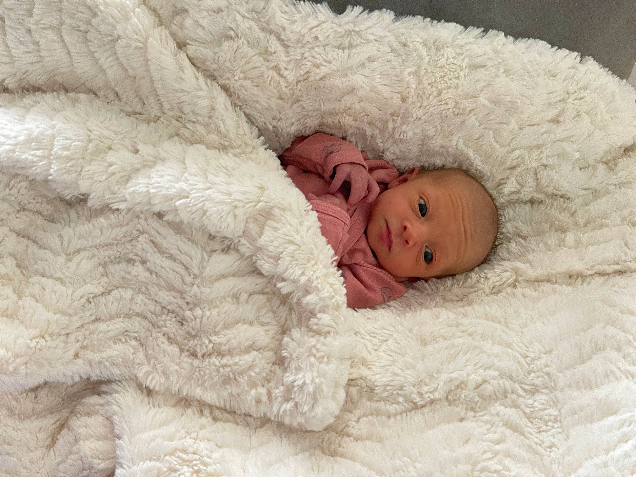 Paisley joined the competition — help win amazing prizes! baby, baby_sleeping, bedding, bedtime, blanket, child, comfort, fur, linens, nap, natural_material, person, portrait_photography, room, sleep, textile, toddler, wool