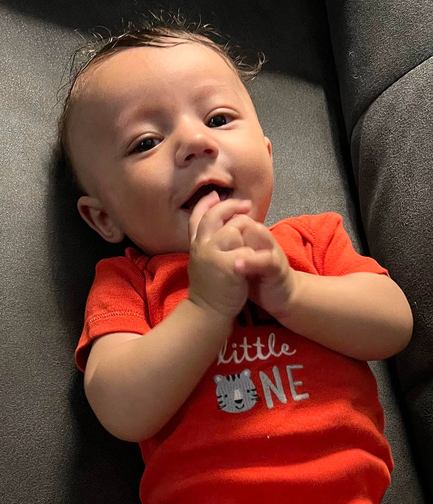 Zeppelin joined the competition — help win amazing prizes! arm, baby, baby_toddler_clothing, cheek, comfort, ear, eye, eyebrow, eyelash, forehead, gesture, happy, human_body, jaw, lip, mouth, neck, nose, person, skin