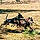 Grizz