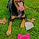 Princess Rosebud