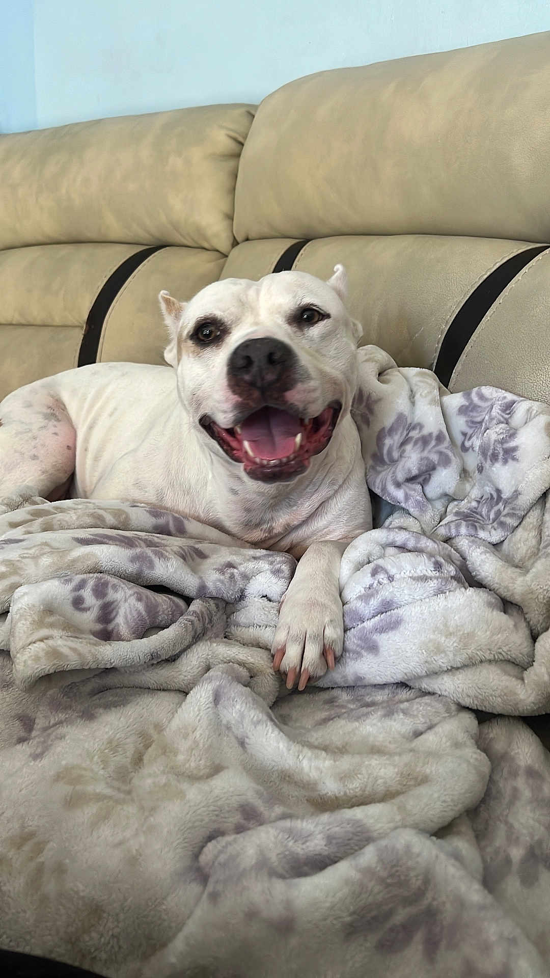 Bella