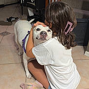 Bella is registered to the contest to win money with this photo: child, dog, hug, indoor, stairs, tile_floor, white_dog, purple_harness, casual_clothing, hair_clip, chair, jacket, living_room, footwear, socks, affection, pet, home, human_animal_interaction, floor