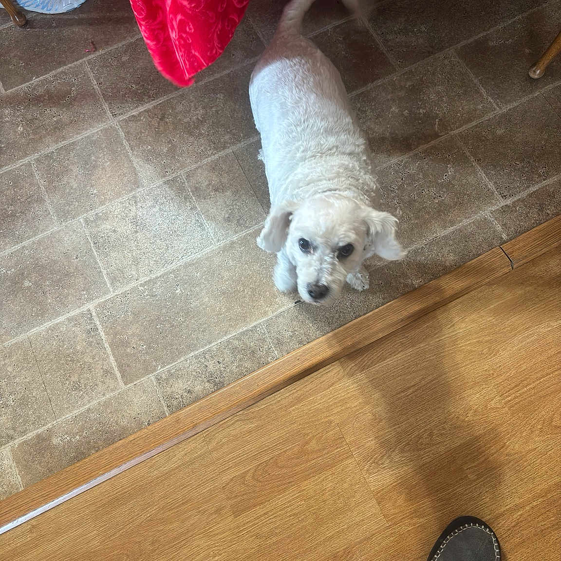Jack