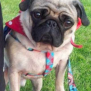 Stanlee is registered to the contest to win money with this photo: