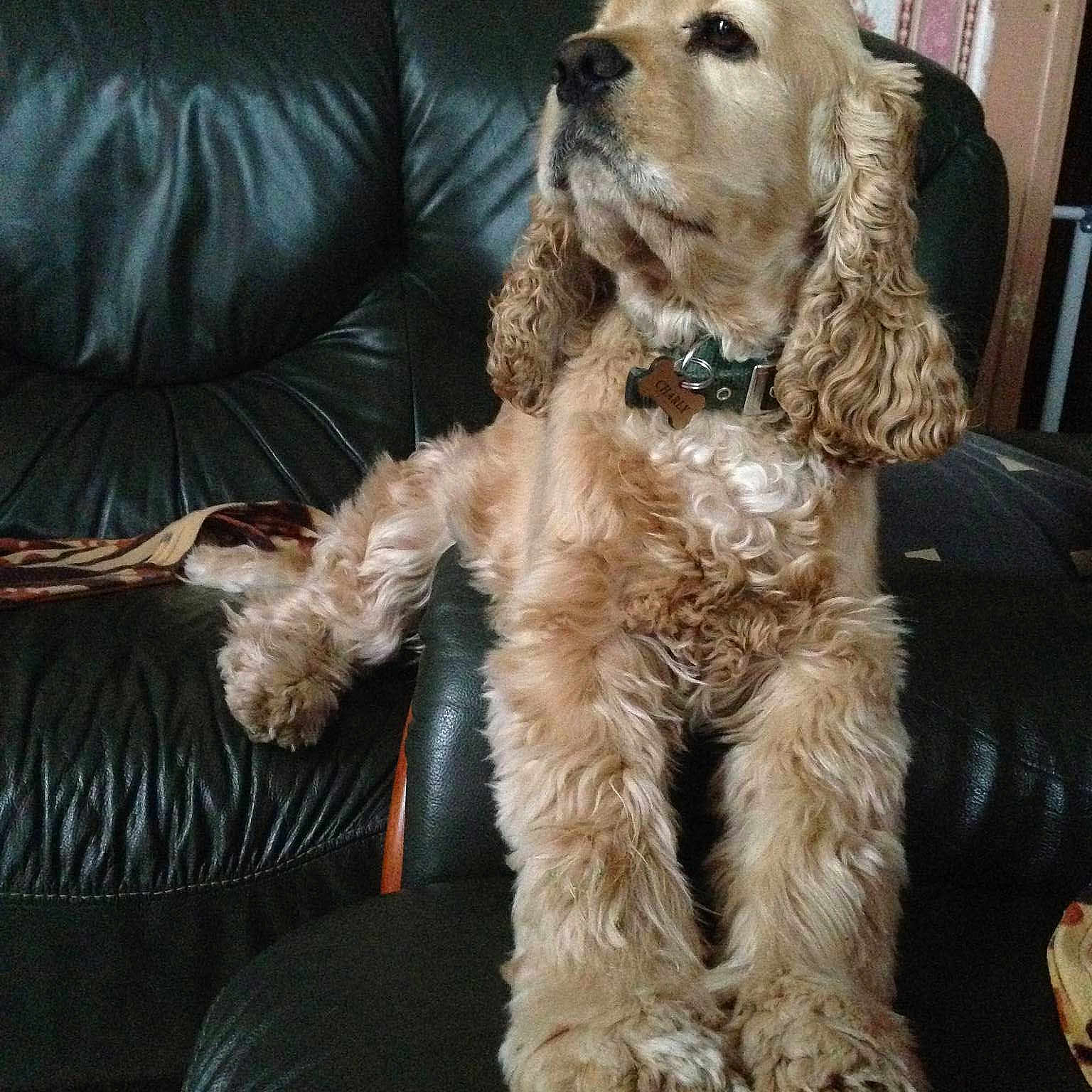 Charly