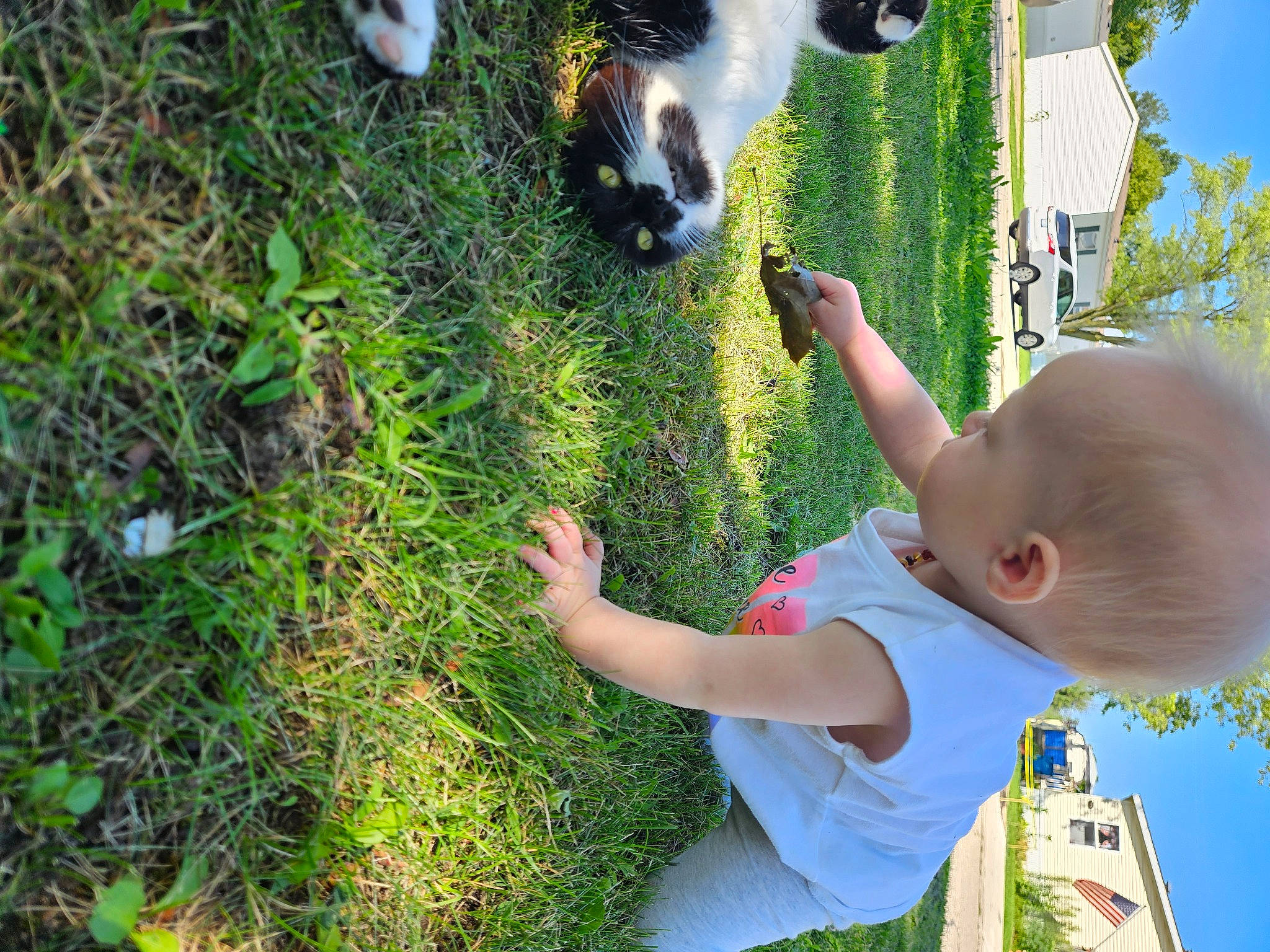 Daisy is registered to the contest to win money with this photo: baby, baby_toddler_clothing, cat, child, finger, fun, grass, grass_family, green, groundcover, hand, happy, hat, lawn, leaf, leisure, people_in_nature, person, plant, toddler