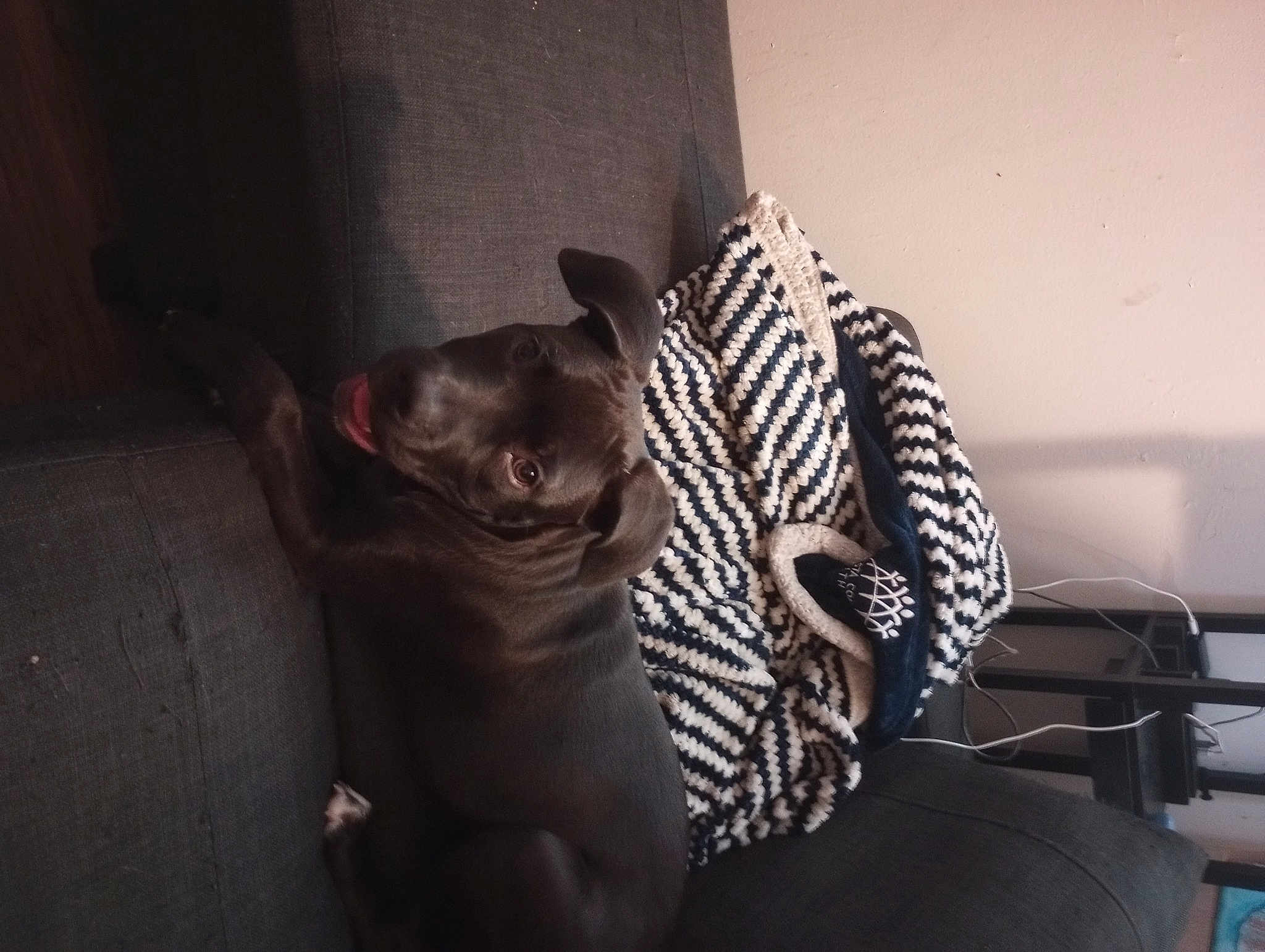 Samantha