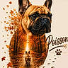 dog, french_bulldog, bulldog, puppy, animal, pet, portrait, close_up, autumn, fall, forest, trees, leaves, orange, nature, path, walking, paw_prints, illustration, text_overlay