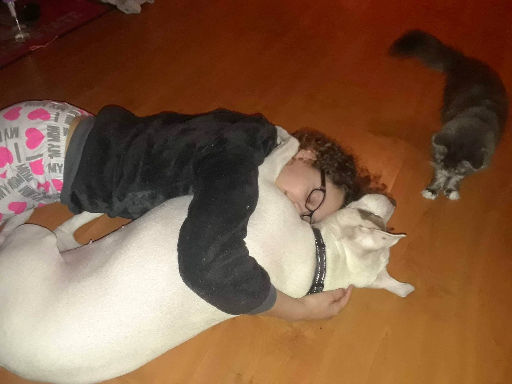 Montana is registered to the contest to win money with this photo: canidae, carnivore, companion_dog, dog, dog_breed, fawn, leg, sporting_group, tail