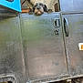 Babygirl joined the competition — help win amazing prizes! dog, vehicle, door, paws, curious, black, fur, outdoor, metal, window, handle, rustic, transport, animal, pet, peek, grip, closeup, worn, nature