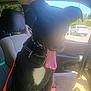 dog, black_dog, pet, inside_car, car_seat, sunlight, panting, tongue_out, harness, window, vehicle_interior, seat_belt, daytime, shadow, white_patch, canine, domestic_animal, car_door, transportation, relaxed