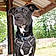Buster