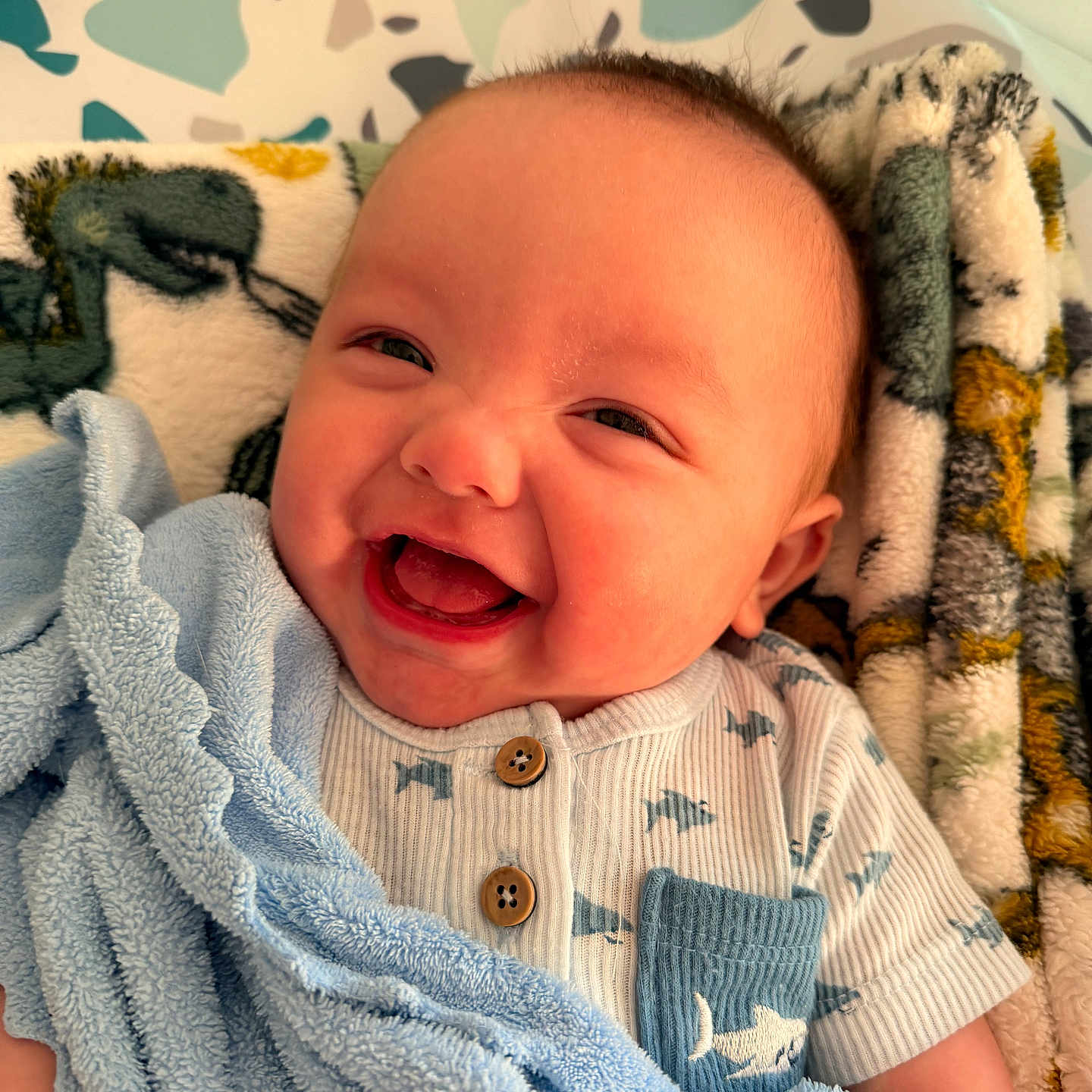 Maverick joined the competition — help win amazing prizes! baby, smiling, blanket, blue_blanket, shirt, buttons, shark_pattern, infant, happy, cute, face, child, portrait, cozy, soft_texture, fabric, lying_down, indoors, closeup, cheerful