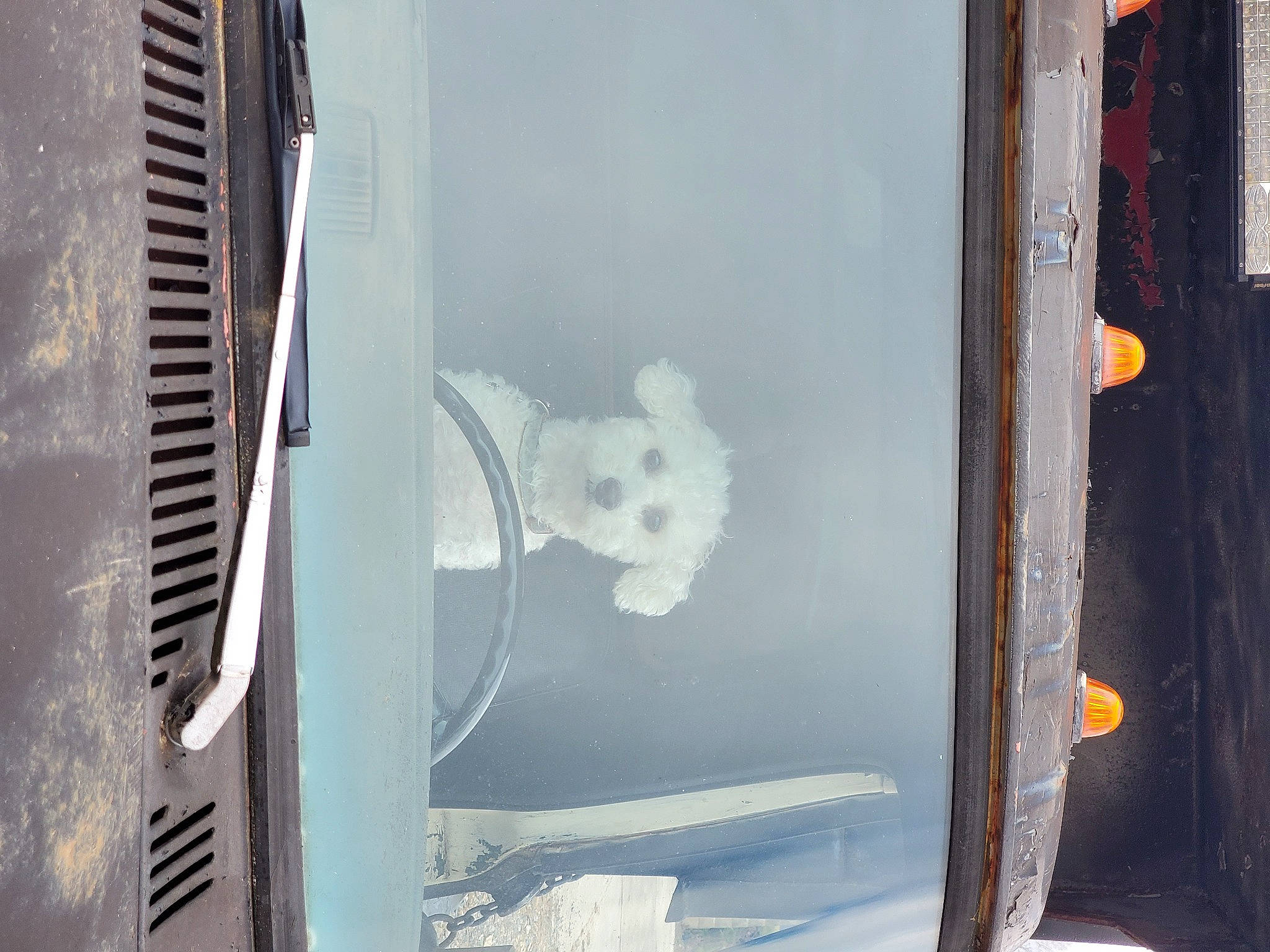 Rydy is registered to the contest to win money with this photo: art, automotive_exterior, automotive_tire, automotive_window_part, door, electrical_wiring, gas, glass, grey, grille, hood, machine, metal, rim, room, tints_and_shades, vehicle_door, visual_arts, windshield, wood