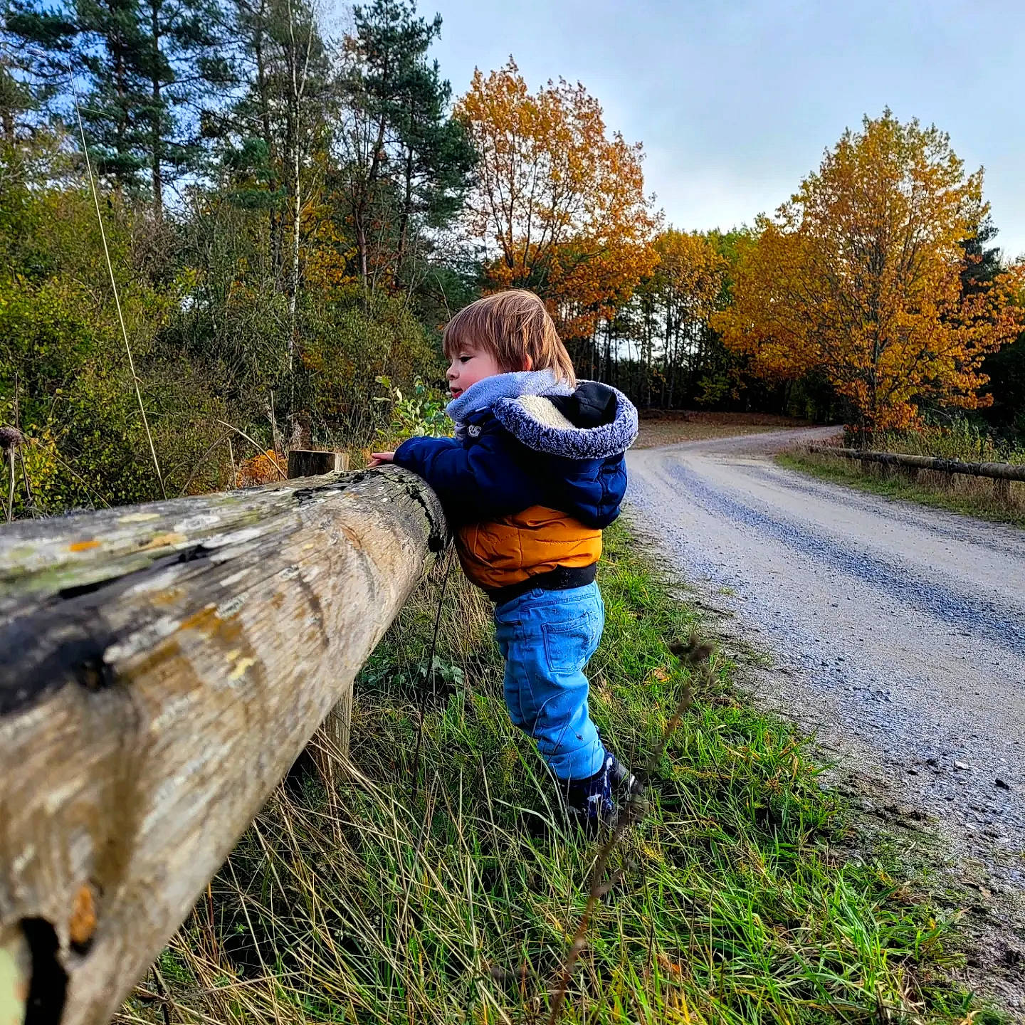 Bao participe au concours pour gagner de l'argent avec cette photo : electric_blue, forest, grass, grassland, happy, landscape, leaf, leisure, natural_landscape, nature_reserve, people_in_nature, person, plant, recreation, sky, trail, tree, trunk, wood, woodland