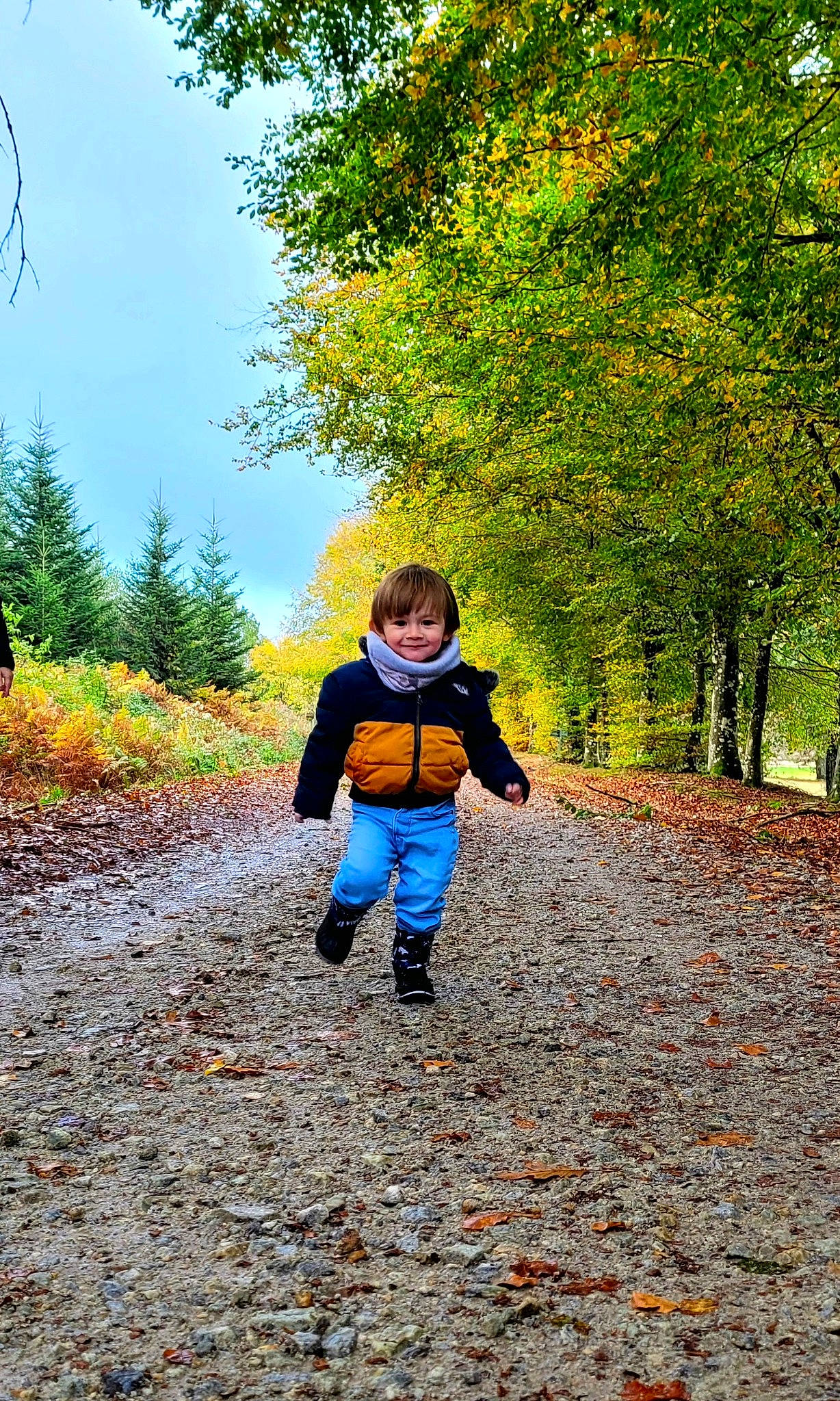 Bao participe au concours pour gagner de l'argent avec cette photo : branch, deciduous, electric_blue, forest, grass, happy, joy, landscape, leisure, morning, natural_environment, natural_landscape, people_in_nature, person, plant, recreation, road, sky, sunlight, toddler