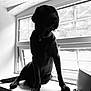 dog, black_dog, windowsill, window, indoor, silhouette, pet, animal, monochrome, black_and_white, collar, furniture, light, shadow, domestic_animal, canine, quiet, still_life, resting, portrait