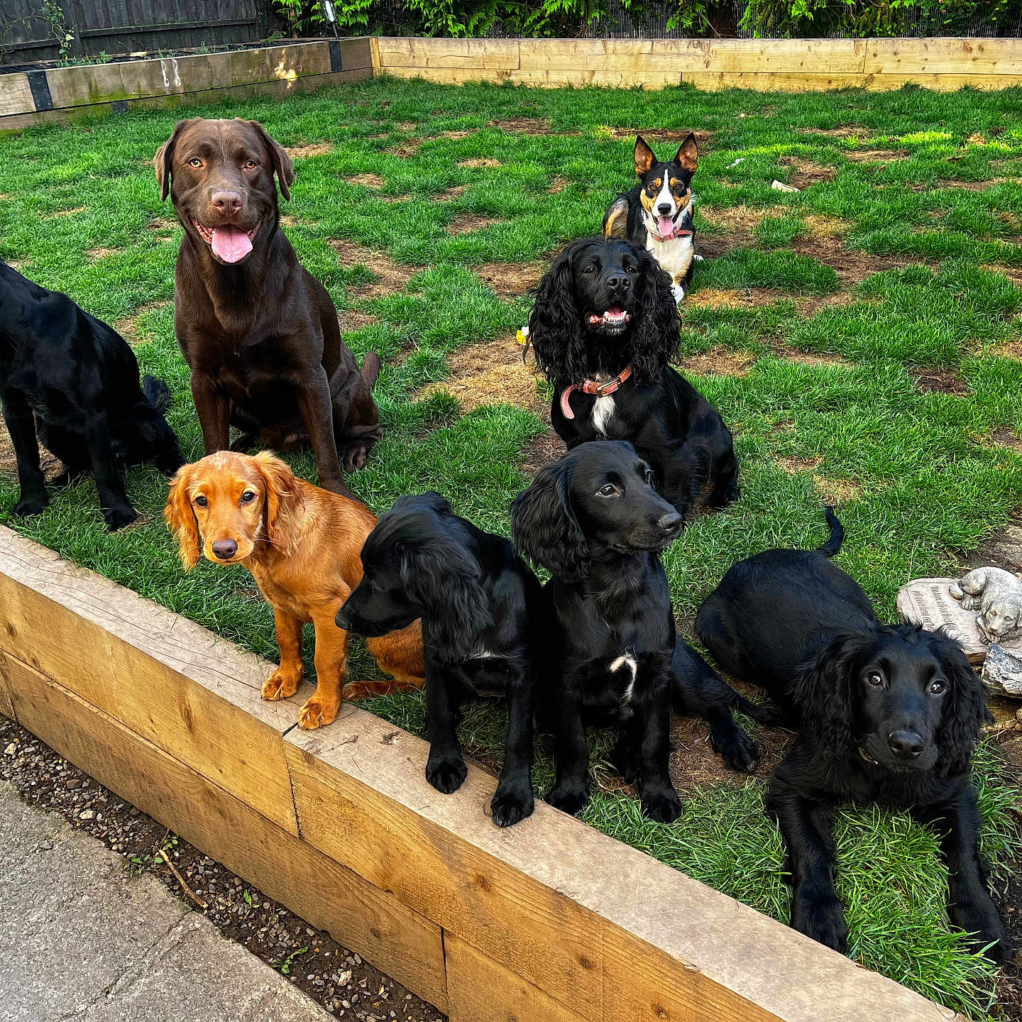 My Beautiful Gang
