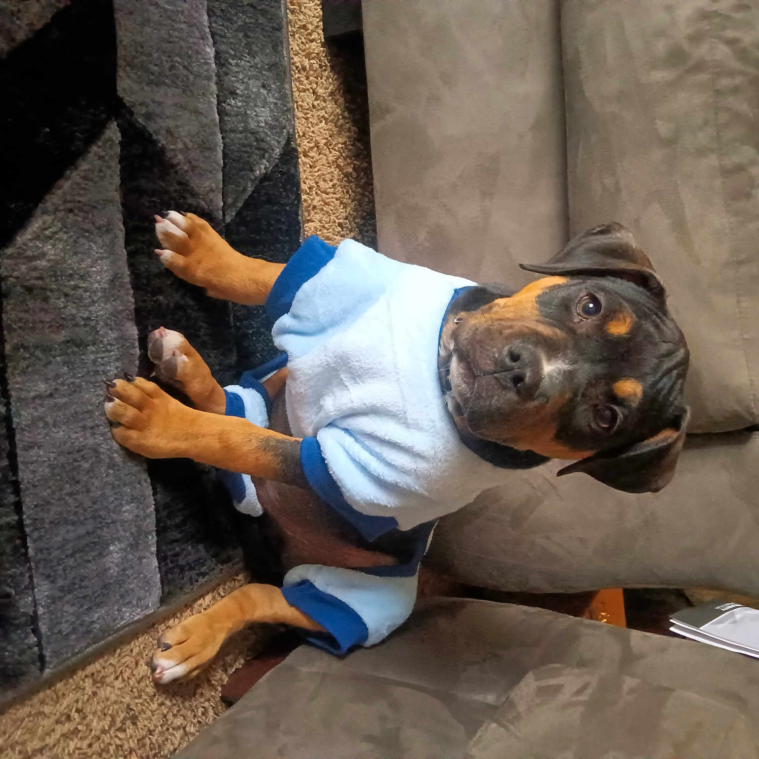 Savage is registered to the contest to win money with this photo: adventure, comfort, couch, denim, elbow, human_leg, knee, leisure, sitting, tree