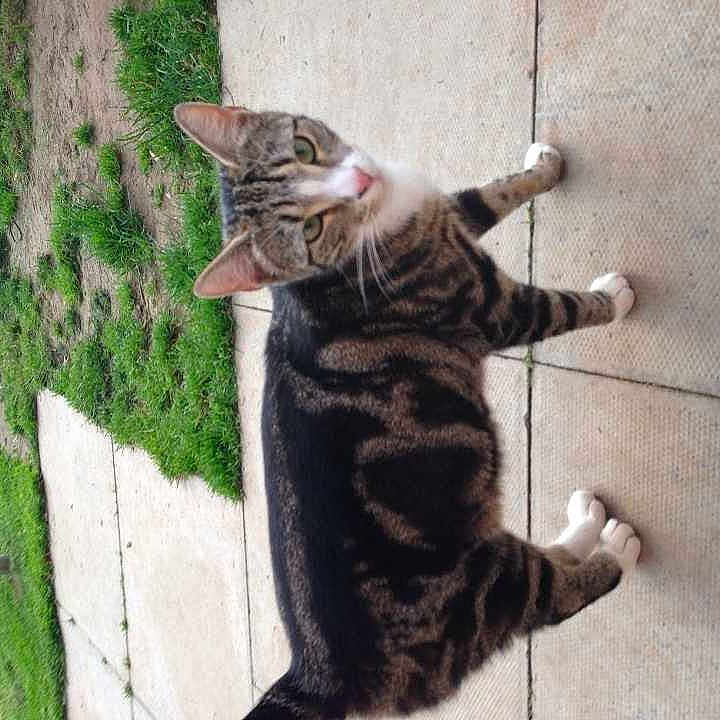 Minnie is registered to the contest to win money with this photo: