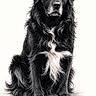 animal, artwork, black_and_white, calm, cute, detailed, dog, drawing, expression, fluffy, fur, heart, marley, name, pet, portrait, realistic, signature, sitting, sketch