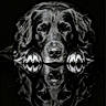 animal, animal_portrait, black_and_white, black_dog, calm, closeup, cute, dark_background, dog, expression, fur, mirror_image, paw, pet, photography, portrait, reflection, resting, studio, symmetry