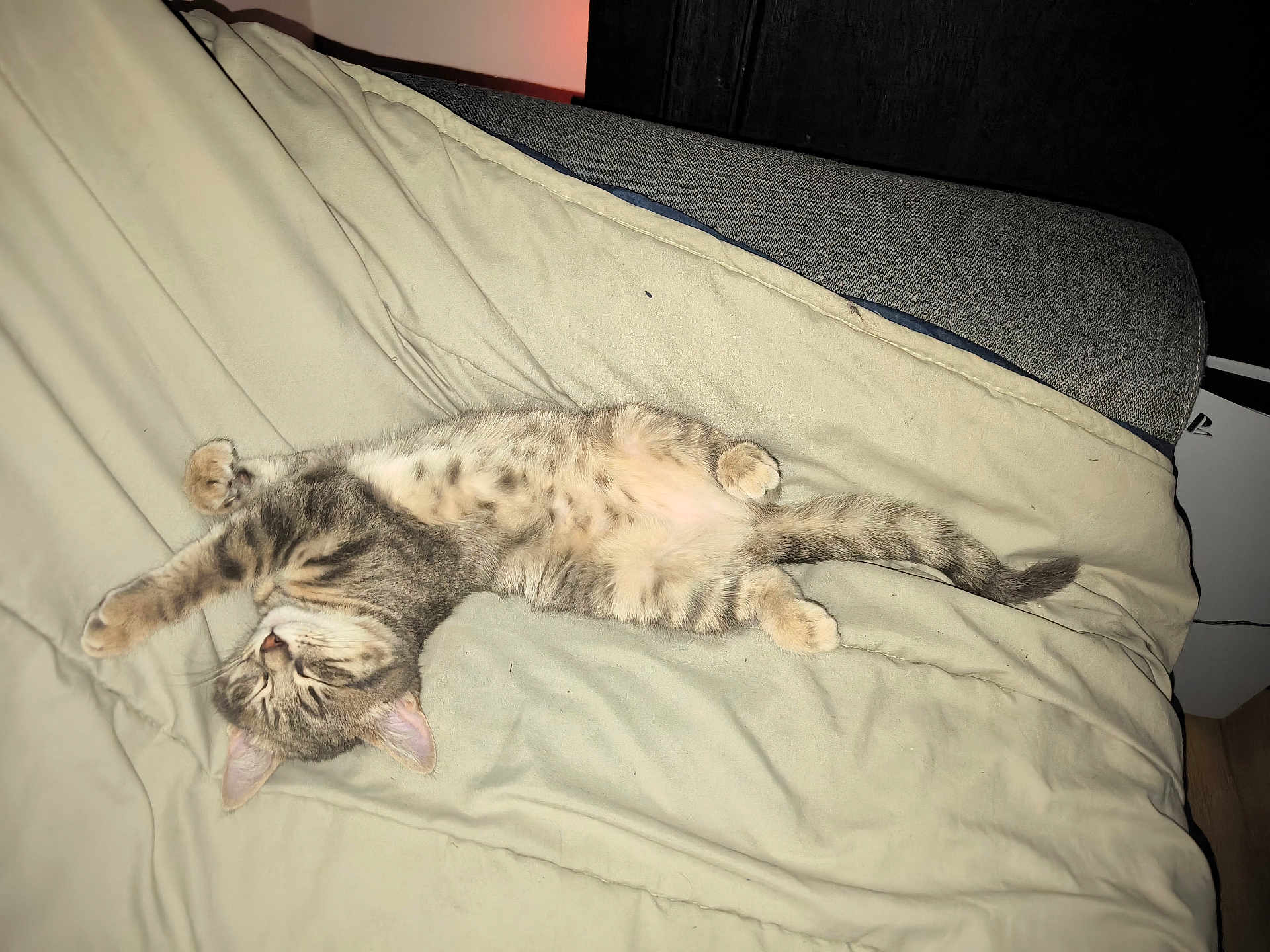 Kiara
