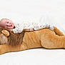 baby, infant, stuffed_animal, lion, pajamas, sleeping, soft, plush, cute, child, toy, cozy, lying_down, white_background, peaceful, resting, indoors, young_child, adorable, comfort