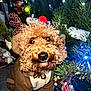 Louie joined the competition — help win amazing prizes! animal, brown_fur, christmas, christmas_tree, close_up, costume, curly_fur, cute, decorations, dog, eyes, festive, holiday_lights, holiday_season, indoors, nose, ornaments, pet, pine_branches, reindeer_costume