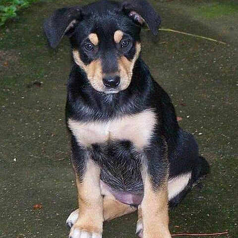 Maya a rejoint le concours — aidez-le/la à gagner de superbes lots !