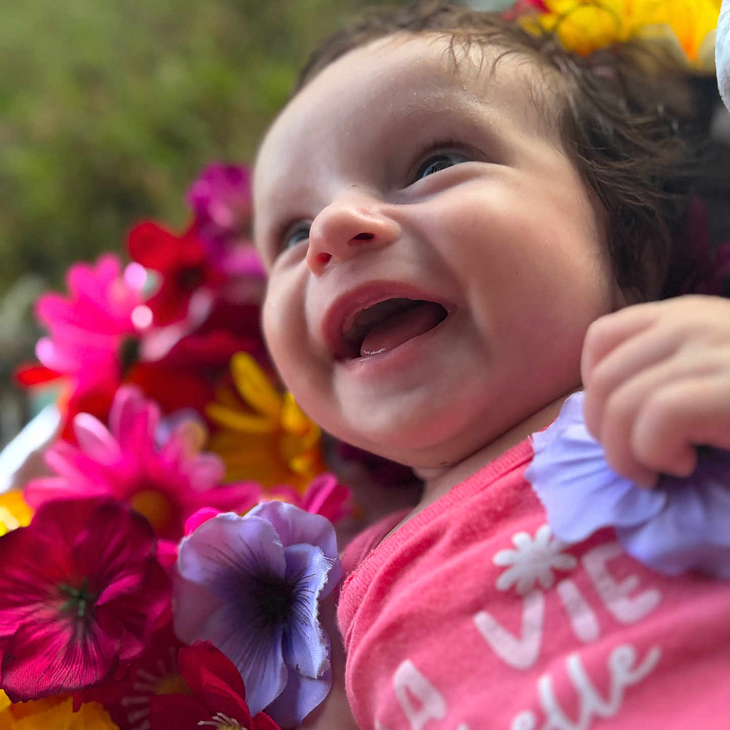 Ambre a rejoint le concours — aidez-le/la à gagner de superbes lots ! baby, cheerful, child, closeup, colorful, cute, face, flower_bed, flowers, happy, head, infant, joy, nature, outdoor, person, pink_shirt, portrait, smiling, vibrant
