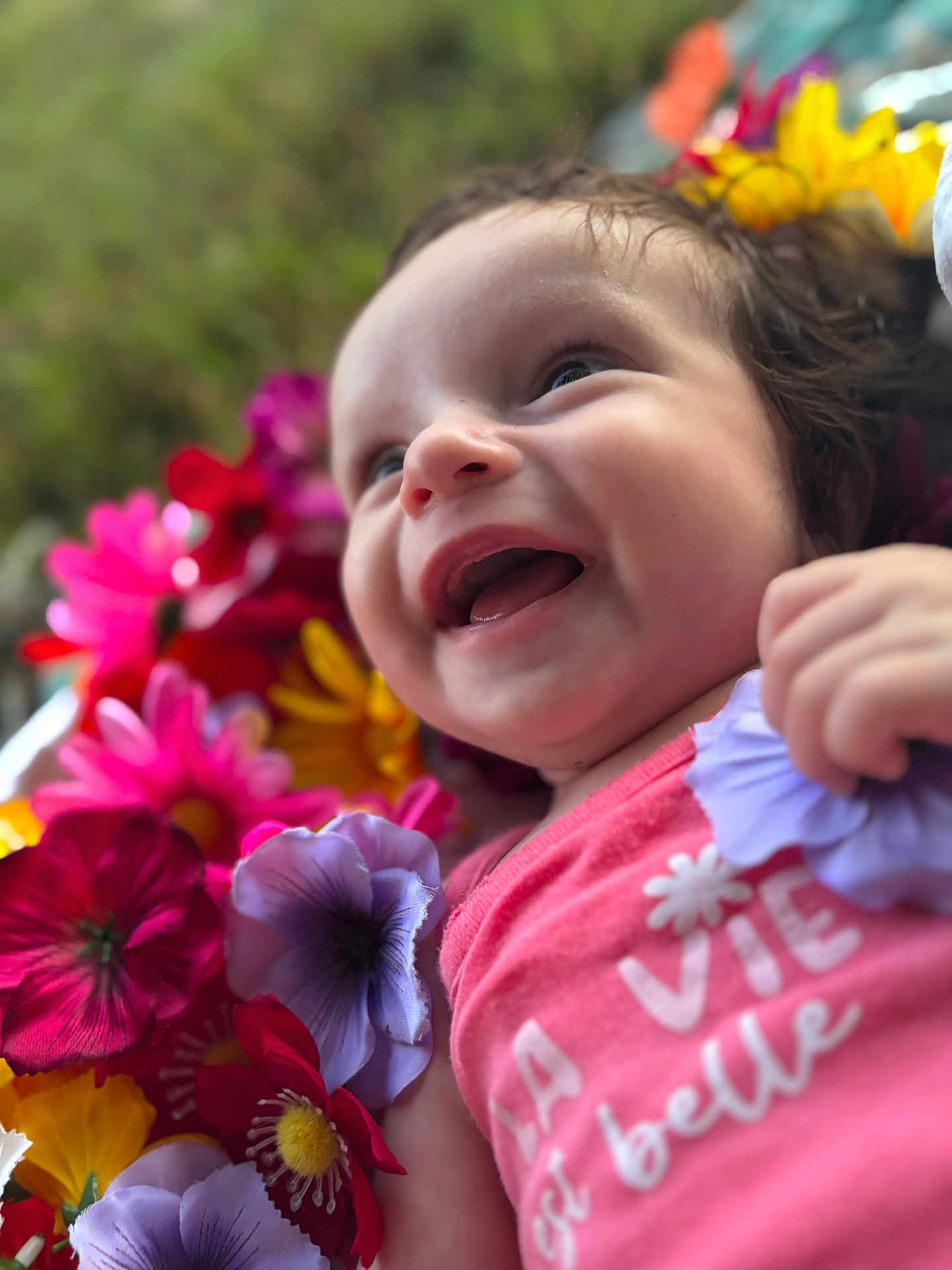 Ambre a rejoint le concours — aidez-le/la à gagner de superbes lots ! baby, smiling, flowers, colorful, pink_shirt, outdoor, happy, closeup, face, child, nature, portrait, vibrant, cute, cheerful, person, head, joy, flower_bed, infant