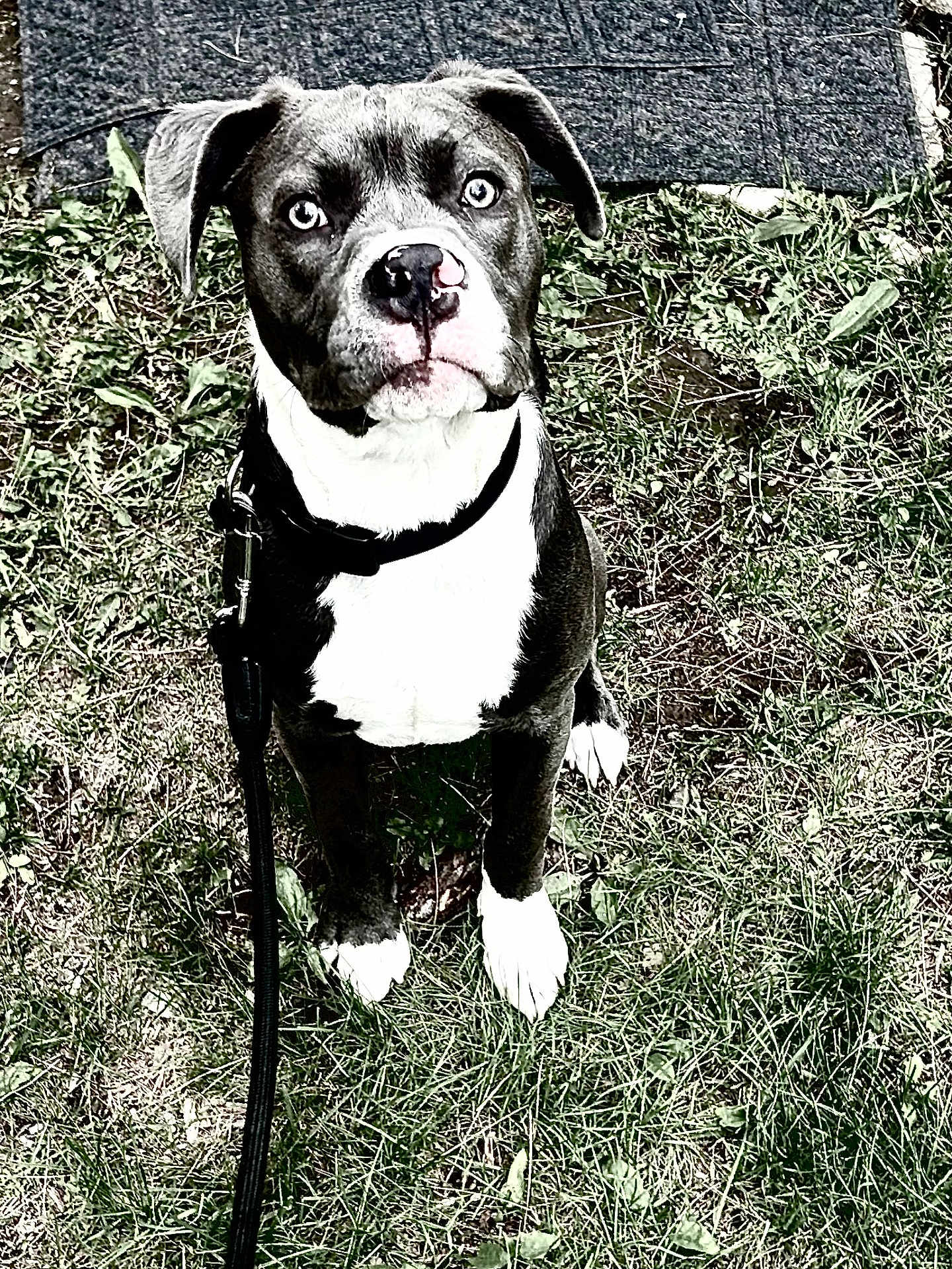 Ruger