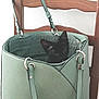 black_cat, kitten, handbag, green_bag, chair, wooden_chair, indoor, pet, animal, cute, curious, feline, small_cat, domestic_cat, leather_bag, sitting, looking, face, ears, straps