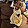 Daionna Rampey