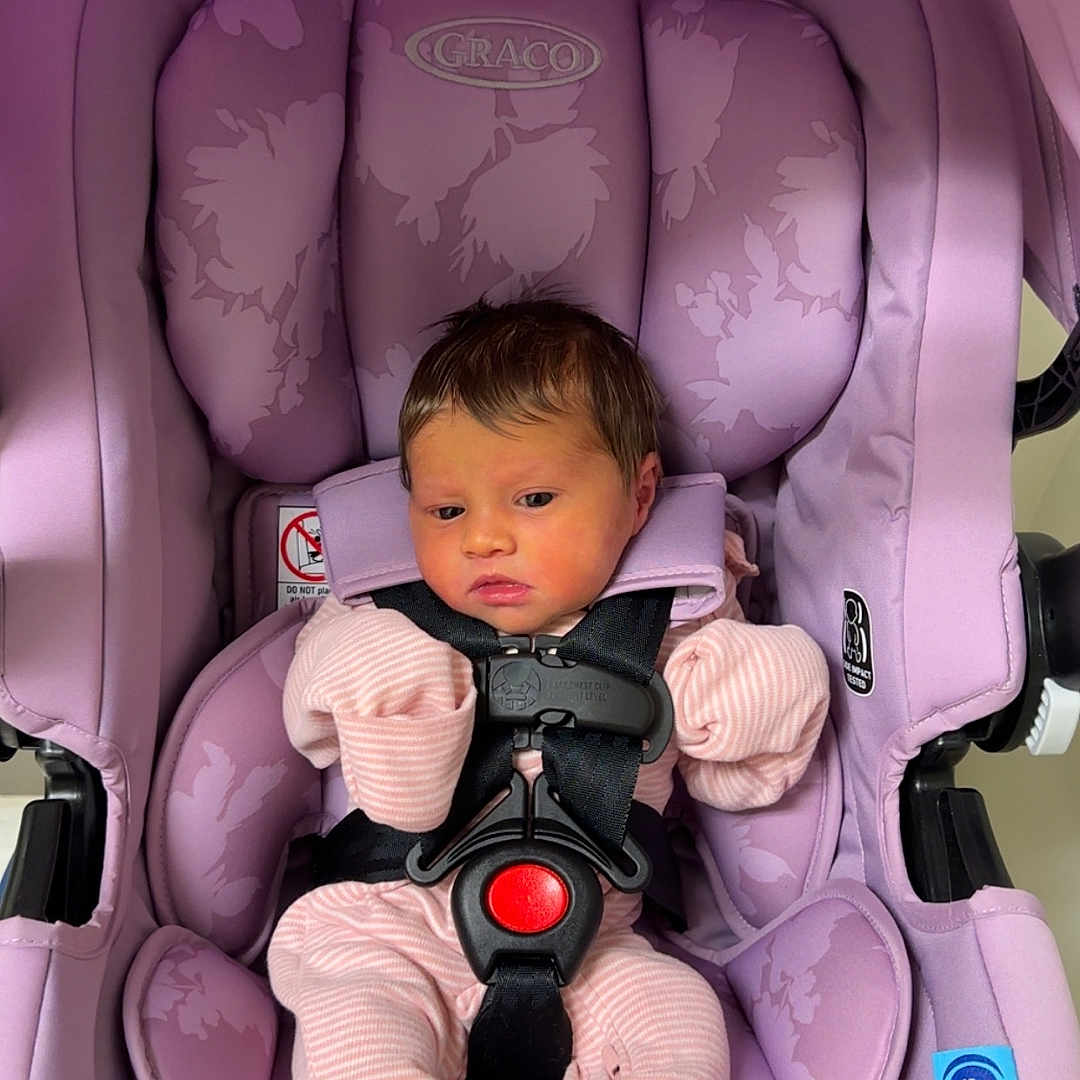 Evelynn joined the competition — help win amazing prizes! baby, infant, child, car_seat, safety_harness, pink, purple, striped_clothing, socks, seated, portrait, indoor, vehicle, secure, harness, floral_pattern, red_buckle, cozy, baby_carrier, photography
