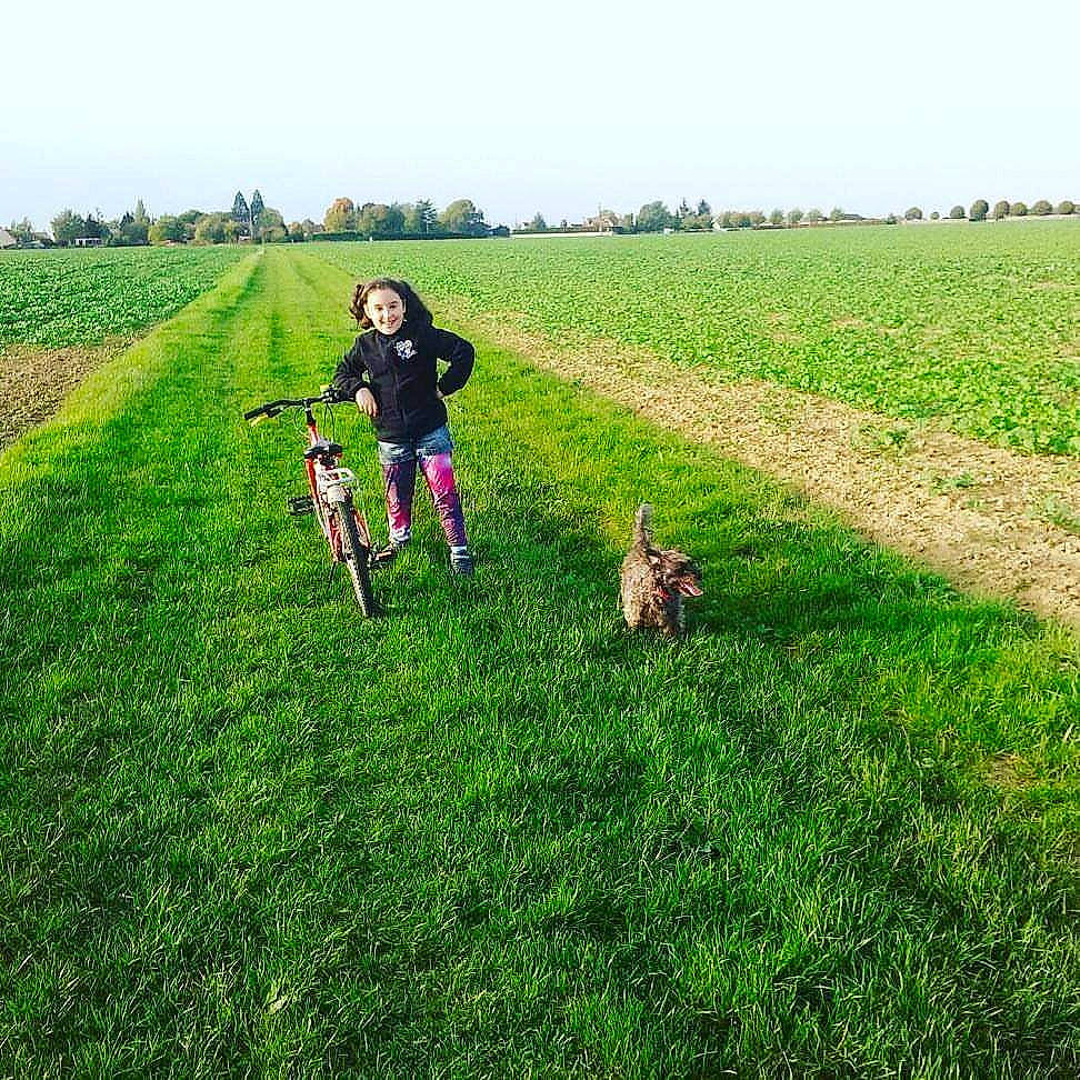 Chipy participe au concours pour gagner de l'argent avec cette photo : agriculture, bicycle, carnivore, dog, ecoregion, grass, grassland, happy, landscape, mammal, meadow, people_in_nature, plain, plant, recreation, sky, tire, vehicle, vertebrate, wheel