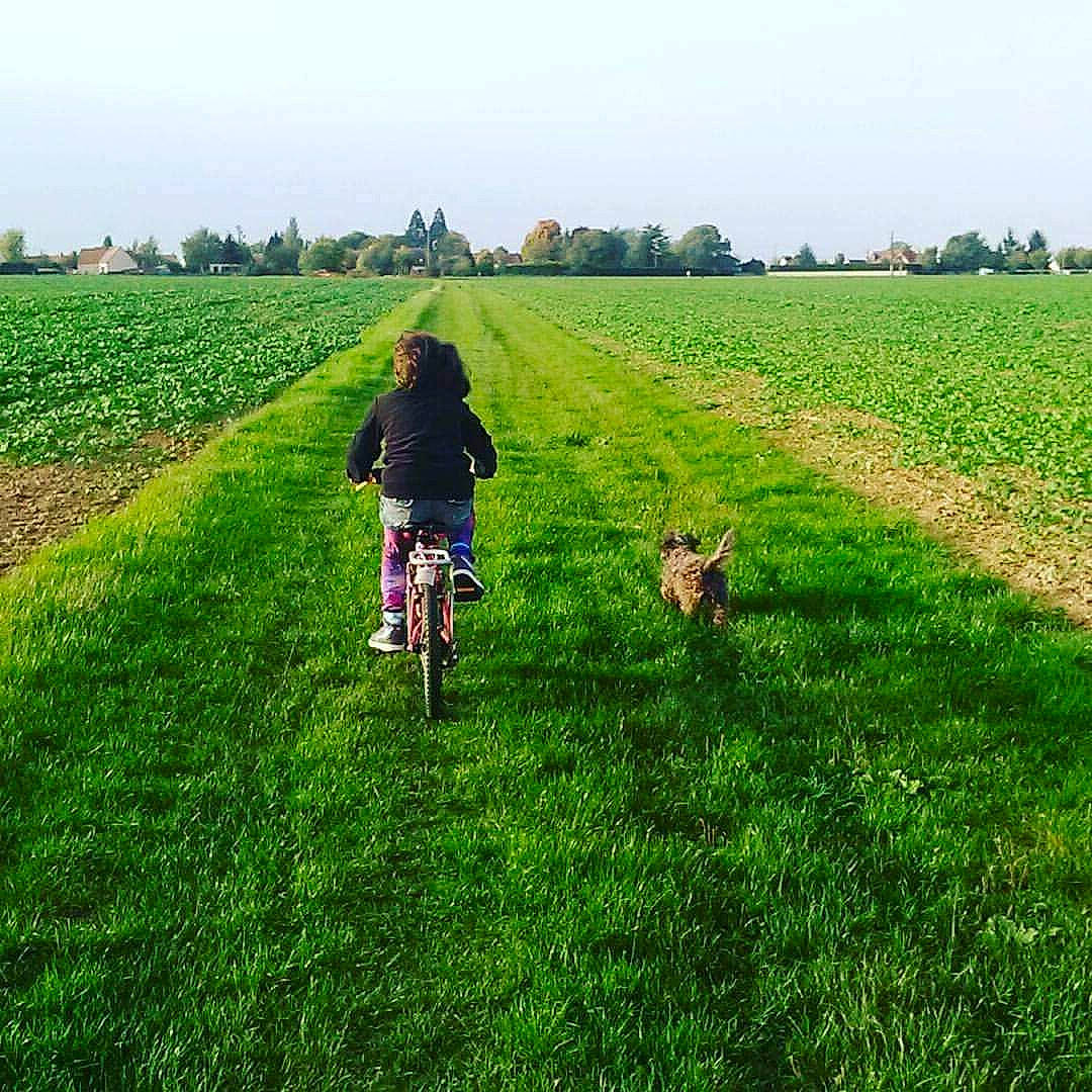 Chipy a rejoint le concours — aidez-le/la à gagner de superbes lots ! bicycle, carnivore, dog, ecoregion, grass, grassland, land_lot, landscape, mammal, natural_environment, people_in_nature, plain, plant, sky, sunlight, tire, tree, vehicle, vertebrate, wheel