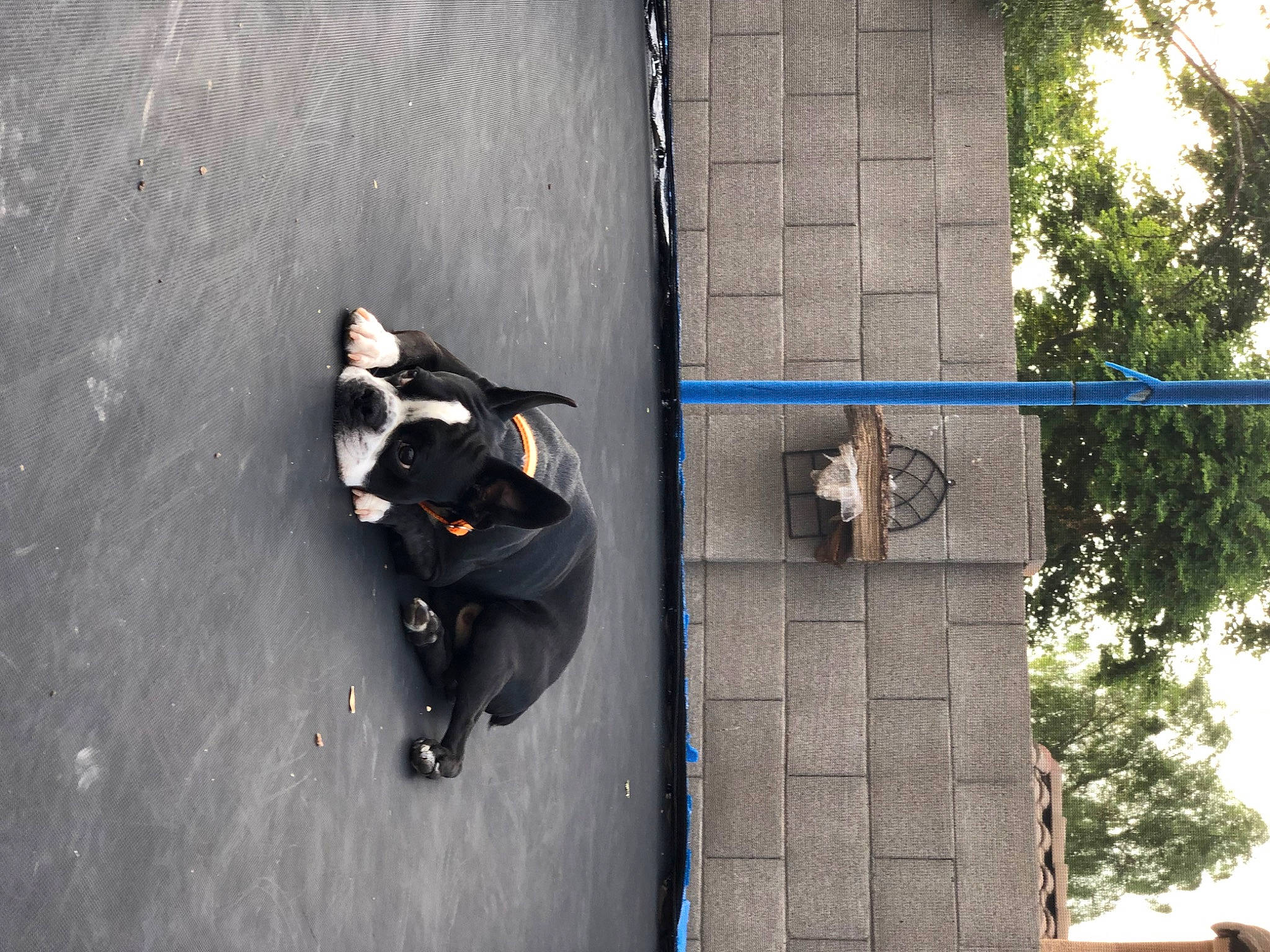 Rocky joined the competition — help win amazing prizes! adventure, asphalt, auto_part, automotive_exterior, automotive_tire, automotive_wheel_system, concrete, facade, pedestrian, public_utility, recreation, reflection, road_surface, shadow, sidewalk, tree, water