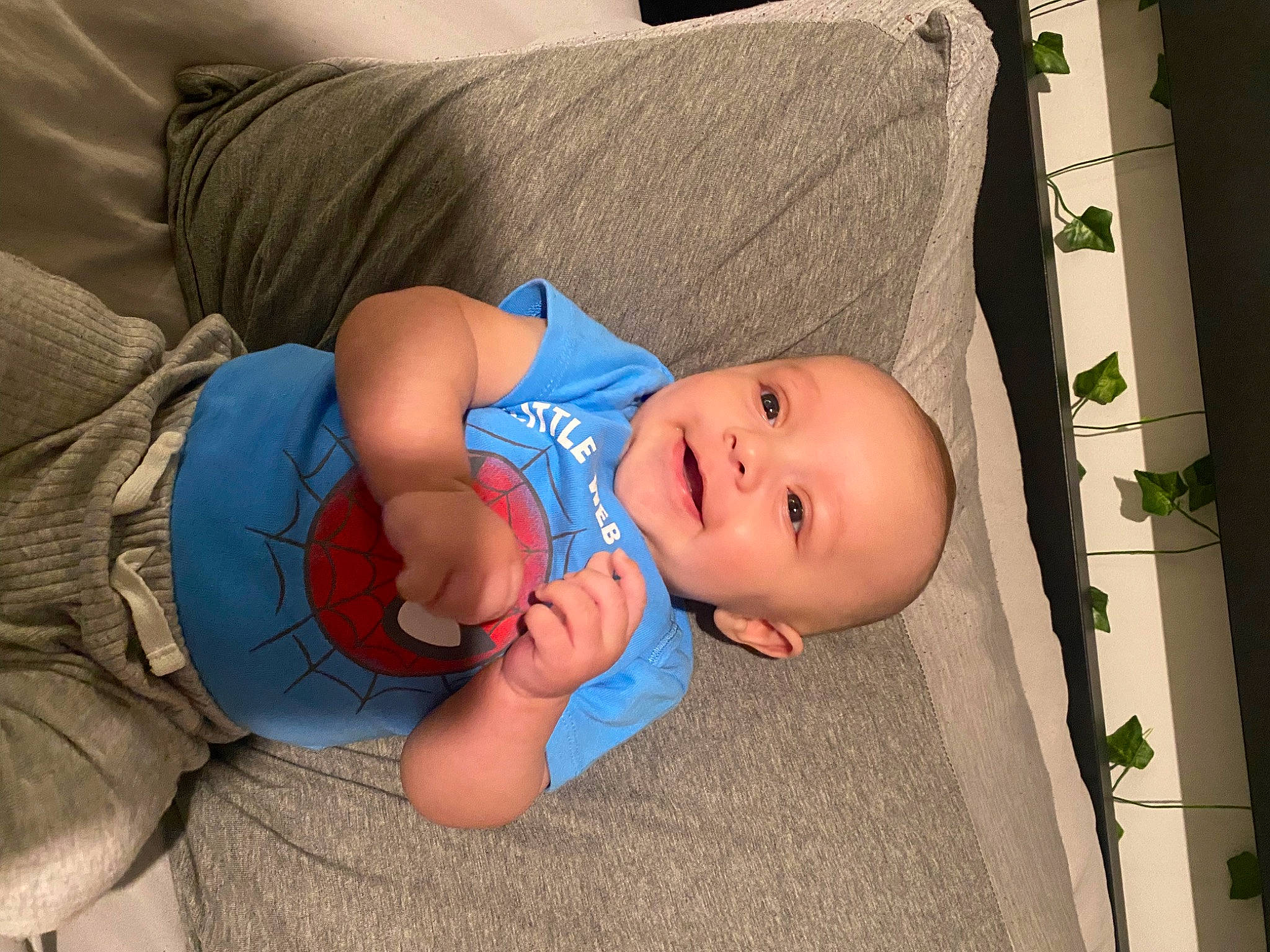 Bentley joined the competition — help win amazing prizes! abdomen, baby, baby_products, baby_safety, baby_toddler_clothing, cheek, child, comfort, elbow, flooring, grass, headgear, joy, linens, person, room, sitting, smile, toddler, wood