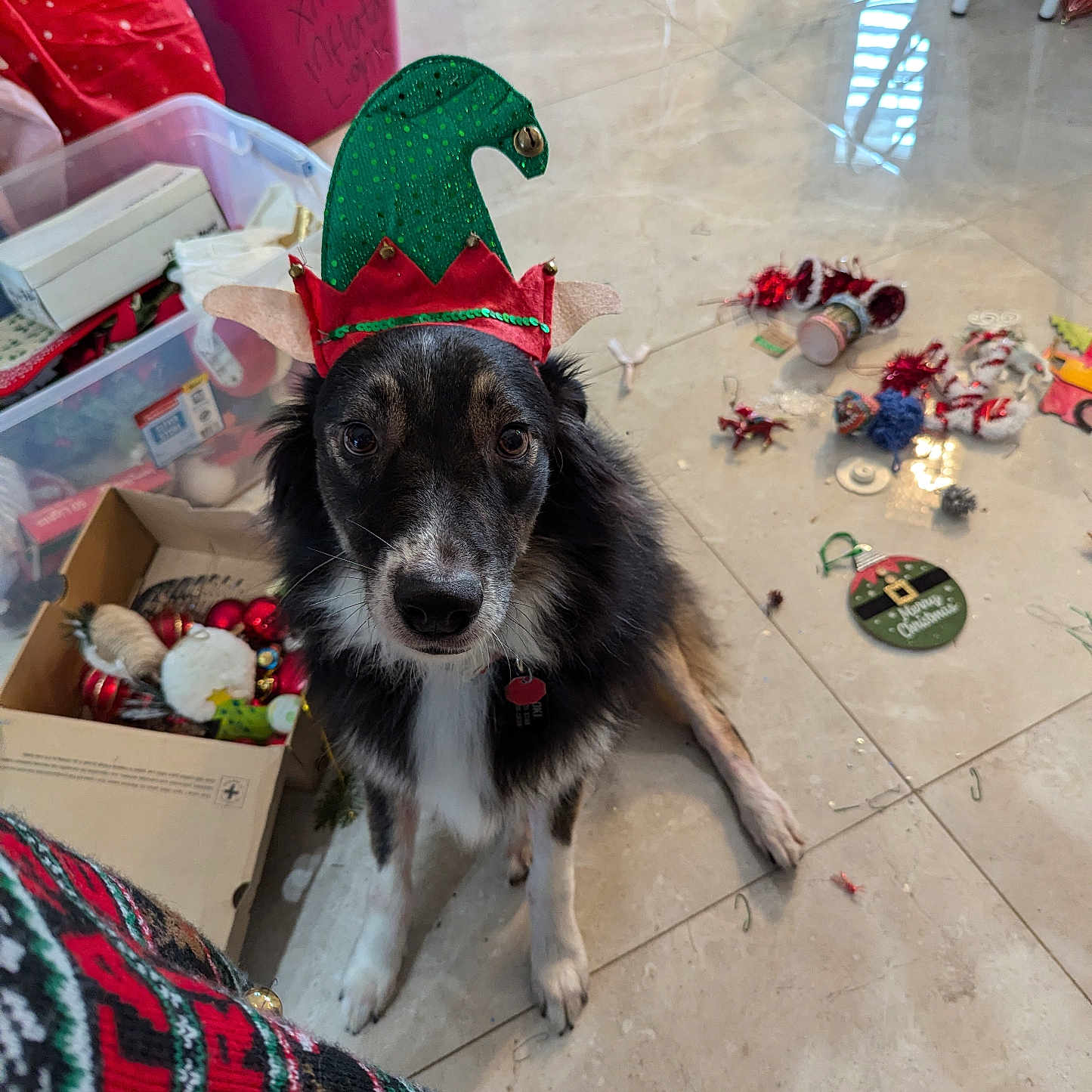 Loki