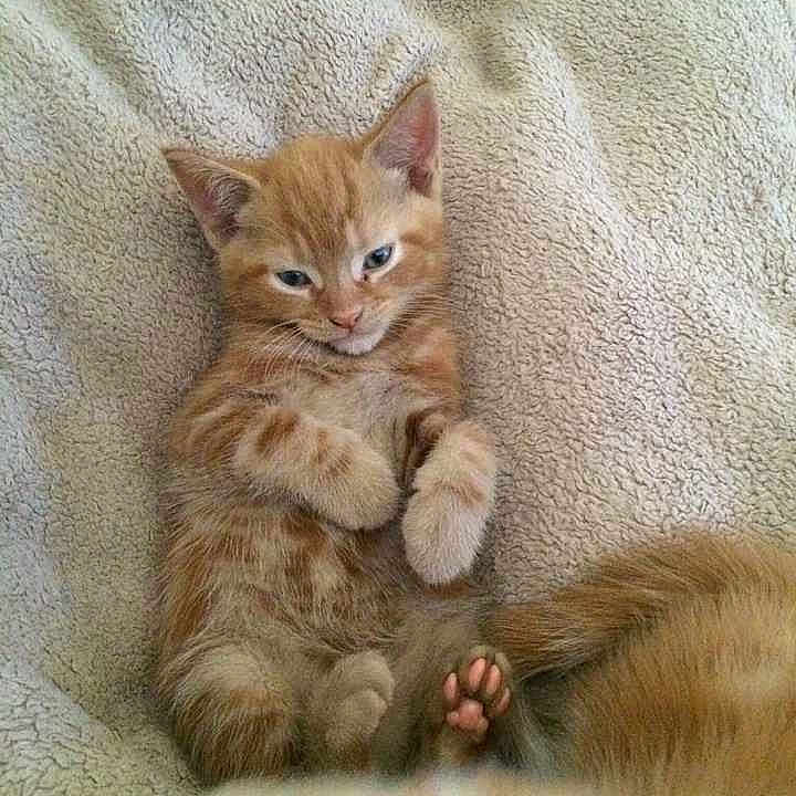 Sidari is registered to the contest to win money with this photo: