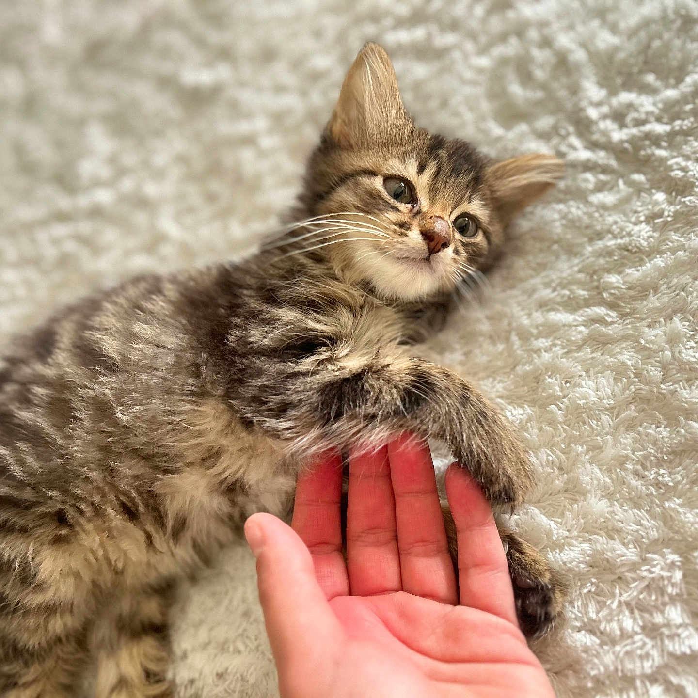 Milo