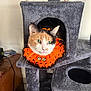 cat, calico, orange_collar, knitted_collar, cat_tree, gray, indoor, pet, feline, curious, cozy, plush, animal, sitting, looking, ears, whiskers, green_eyes, home, furniture