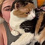 cat, calico_cat, person, face, fur, whiskers, indoor, cuddle, resting, closeup, pet, animal, comfort, human, skin, clothing, tank_top, bed, pillow, relaxation
