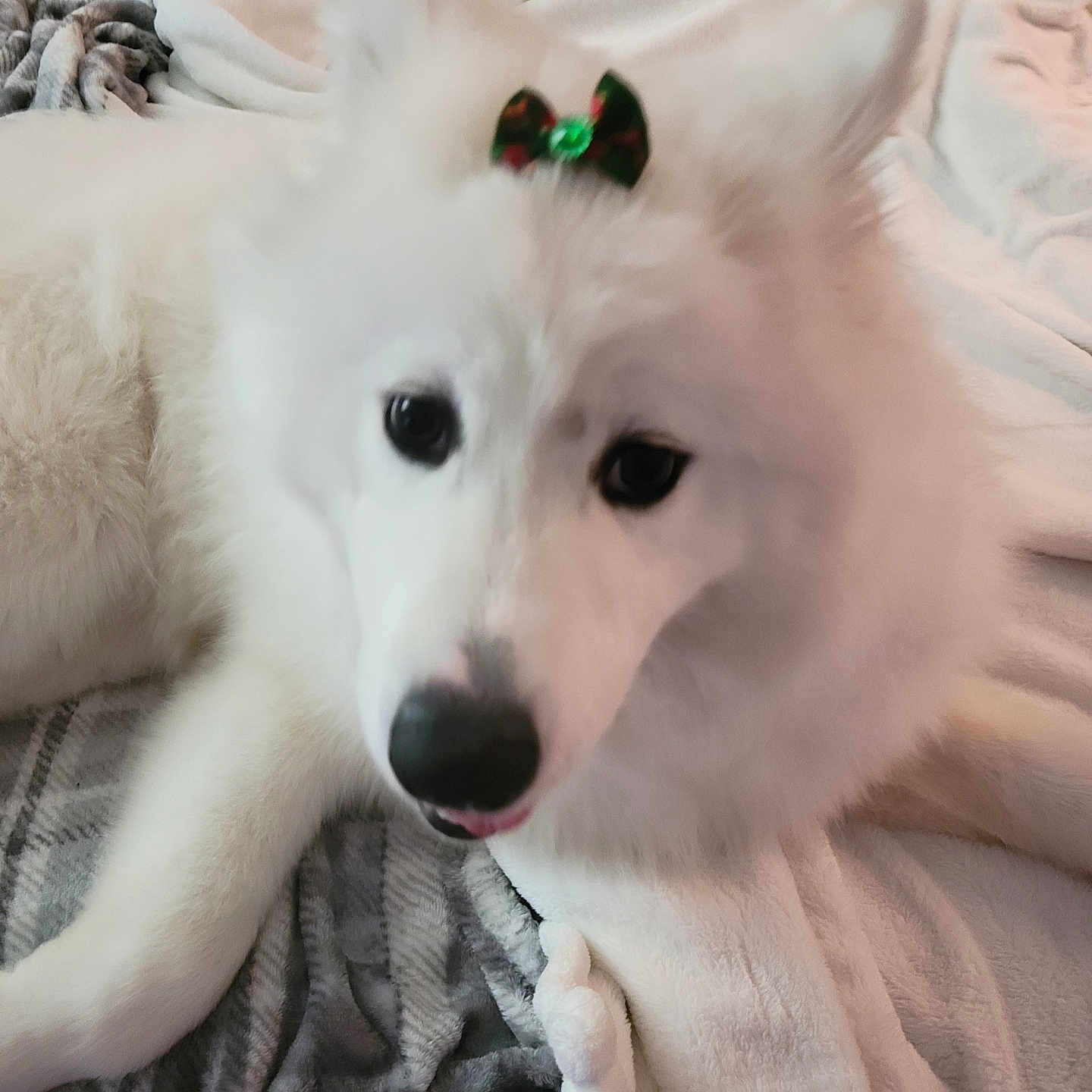 Luna Starr